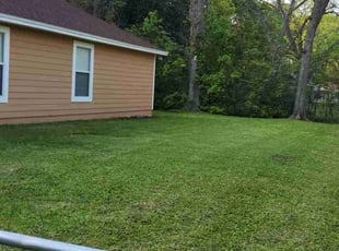 James V.'s Lawn Mowing service result