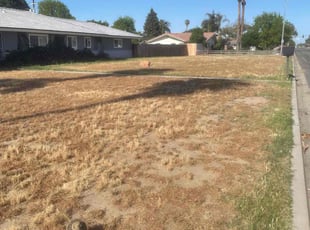 Weeding by Rogelio Maciel for Marcos H. in Bakersfield, CA