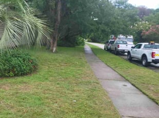 Cleanups by Nick Peters for Adam R. in Jacksonville, FL