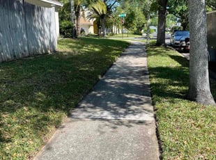 Gabrian D.'s Lawn Mowing Service service result