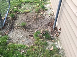 Leaf Removal by Arisbet Cardoza for Joe L. in Kentwood, MI