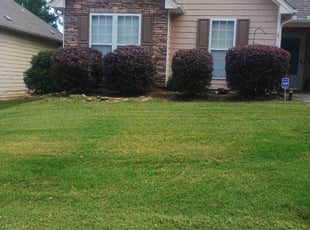 Bush Trimming by Ronaldo Hinton for Timothy Z. in Birmingham, AL