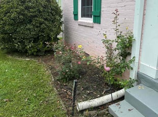 Cleanups by Samarrio Conney for Danielle L. in Atlanta, GA