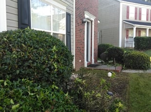 Bush Trimming by Adams Paiz for Bobbie M. in Charlotte, NC