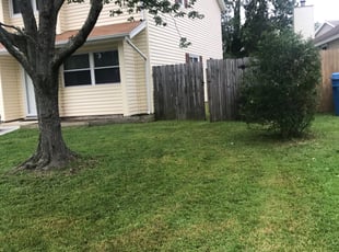 Bush Trimming by Kyle Proctor for Morgan N. in Virginia Beach, VA