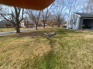 Cleanups by Michael Wait for Hannah G. in Kansas City, MO
