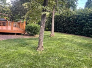 Melanie A.'s Lawn Care service result