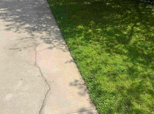 Danny A.'s Lawn Mowing service result