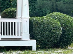 Bush Trimming by Jason Hembree for Mariah H. in Douglasville, GA