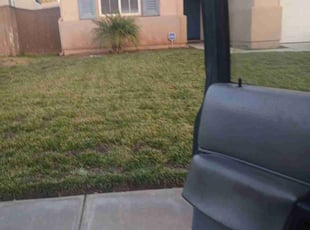 Adrian C.'s Lawn Mowing service result