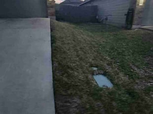 Leaf Removal by Reginaldo Perez for Joanna H. in Austin, TX