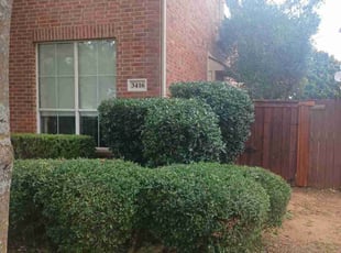 Bush Trimming by Jose Rodriguez for Angie O. in Grapevine, TX