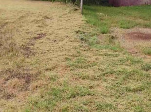 Cleanups by Megan Cabrera for CYRUS N. in Wichita Falls, TX
