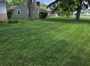 LuAnn P.'s Lawn Mowing service result