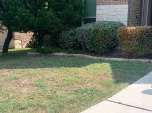 Bush Trimming by Jason Salazar for Edward W. in San Antonio, TX
