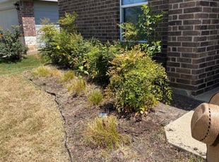Weeding by Fred Rodriguez for Caleb M. in Austin, TX