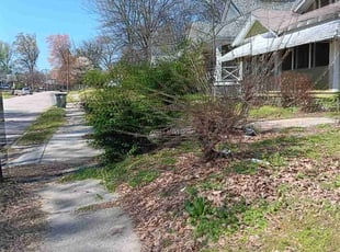 Bush Trimming by Joe Miller for Brian B. in Memphis, TN