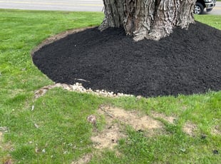 Mulching by Gary Andersen for Nick R. in Loveland, OH