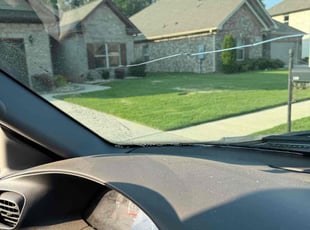 Bush Trimming by Audrey Vidrios for Wendell W. in Huntsville, AL