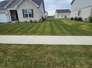 Colleen R.'s Yard Cutting service result