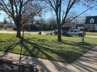 Caitlyn M.'s Lawn Mowing service result