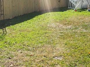 Leaf Removal by D'Shaun DuBois for Marjorie J. in San Antonio, TX