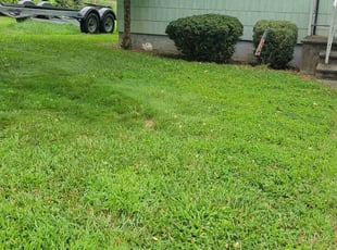 Bush Trimming by Jason Pryor for Beth S. in Bethlehem, PA