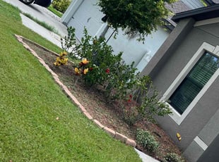 Weeding by Johnny Torres for Lawrence C. in Ruskin, FL