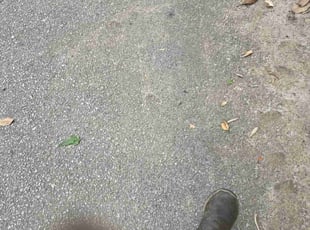 Cleanups by Kyle Bryant for Wendy Z. in Greenville, SC