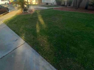 Becky B.'s Lawn Care service result