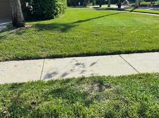Curtis P.'s Lawn Care service result