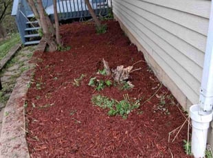Mulching by Kevin Rhyne for Melissa D. in Madison, WI