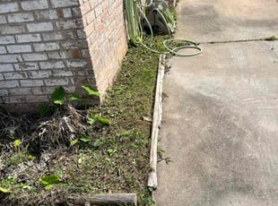 Weeding by Carjaseph Bell for Patricia O. in Houston, TX