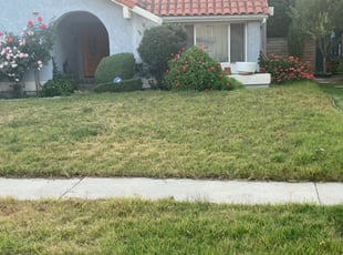 Bush Trimming by Alexander Stevenson for Cherie H. in Los Angeles, CA