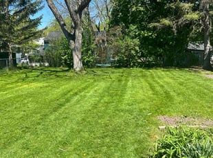 Justine C.'s Grass Cutting service result