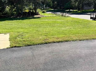 Rosalia u.'s Lawn Mowing Service service result