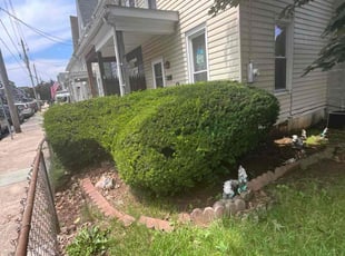 Bush Trimming by ROLANDO ICO COC for Brian O. in Ephrata, PA