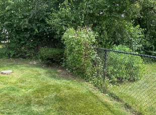 Bush Trimming by Shane Fellers for Larry M. in Canton, MI
