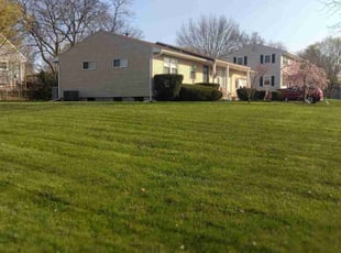 Cynthia J.'s Lawn Service service result