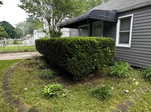 Bush Trimming by Steve Bergman for Chuntea P. in Warren, MI