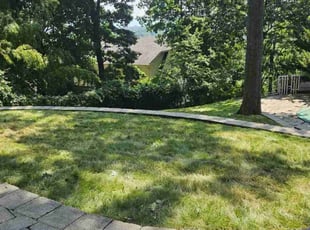 Aeration by Efrain Colon for Dunya M. in Staten Island, NY