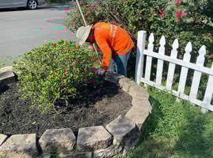 Weeding by Angel P. for Rosa l. in Arlington, VA