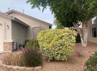 Leaf Removal by Sampson Macias for Aaron O. in Goodyear, AZ