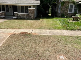 Cleanups by Drewcolby Killings for Achia A. in Birmingham, AL