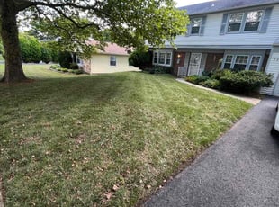 Benjamin M.'s Lawn Maintenance service result