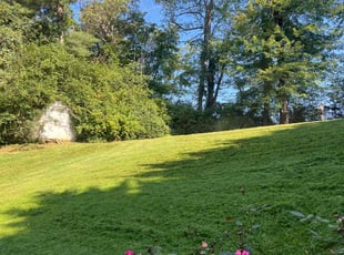 Nicholas K.'s Lawn Maintenance service result