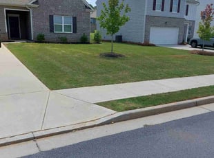 Laura C.'s Lawn Service service result