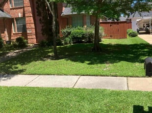 Katherine F.'s Yard Cutting service result