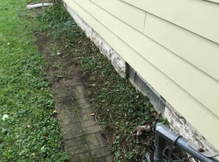 Cleanups by Ian Canfield for Chyna A. in Minneapolis, MN