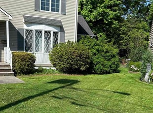 Nadine C.'s Yard Cutting service result